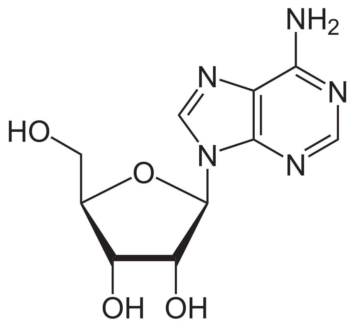 Adenosine